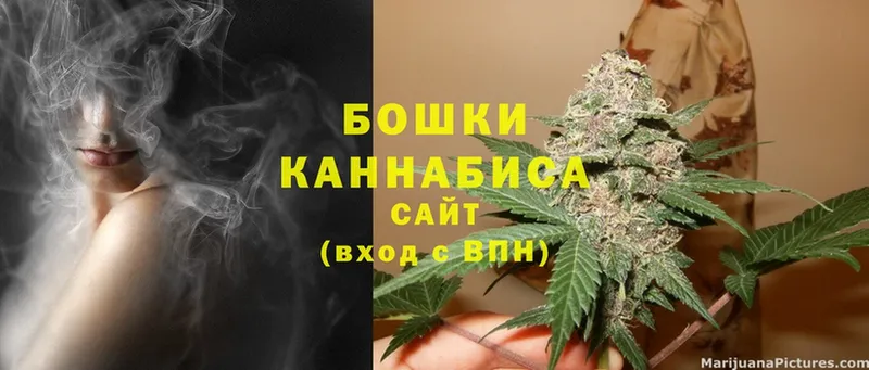 Бошки марихуана SATIVA & INDICA  Козьмодемьянск 